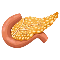 Cirujano Gastrointestinal en Comalcalco