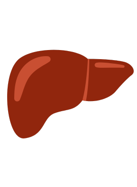 ultrasonido estético en abdomen Ultrasonido Abdominal Exploratorio Incluido en Consulta en Cárdenas Tabasco